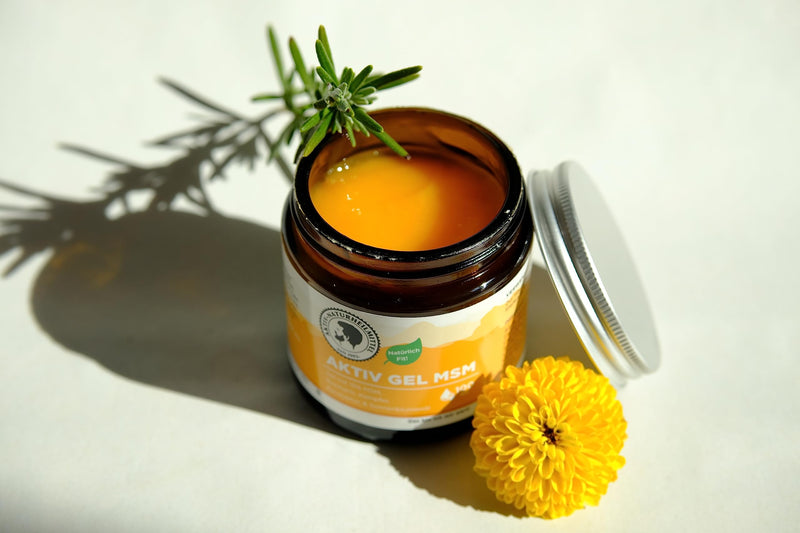 Active natural remedy AktivGel MSM cream/ointment 100ml with 15% MSM & warming effect | 99.9% purity, high quality and from Germany - NewNest Australia