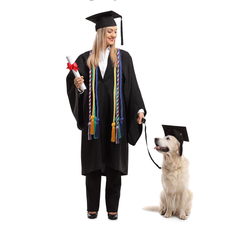 Rcanedny 15 Pieces Graduation Honor Cord Braided Honor Cords with Tassels for Graduation Students (Black) Black - NewNest Australia