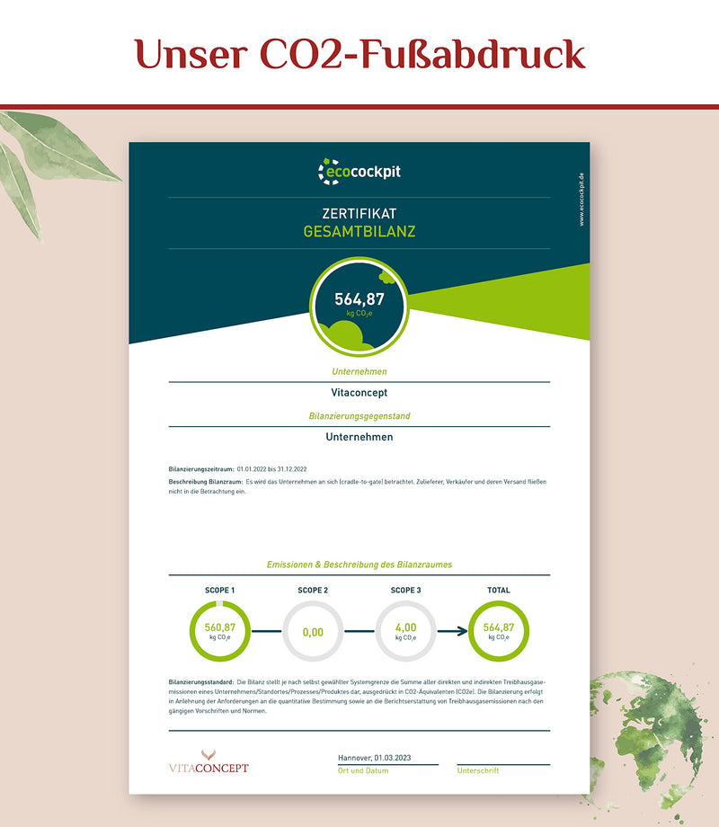 Resveratrol I The Comparison Winner I 500 Mg Trans-Resveratrol / Capsule I 90 Capsules (3 Months) I Trans-Resveratrol From Japanese Knotweed I Laboratory Tested Vegan I High Dose I Made In Germany - NewNest Australia