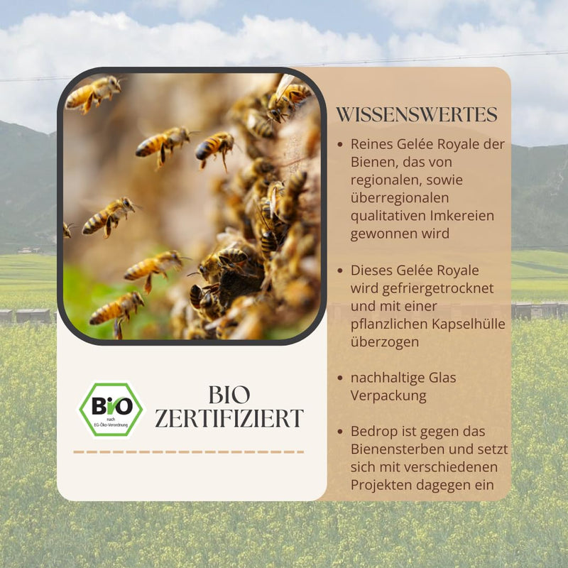 Bedrop Royal Jelly Capsules Organic Quality 60 Capsules - 1 Capsule = 980 Mg Pure Royal Jelly, 10-Hda Content <4.8% - Royal Jelly Rich In Polyphenols & Flavonoids - NewNest Australia