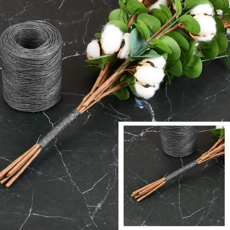 TIMESETL 656 Feet Floral Bind Wire Rustic Vine Wrapping Wire, Paper Covered Waterproof Craft Wrap Twine for Flower Bouquets Stem Wrap Florist (Black) Black - NewNest Australia