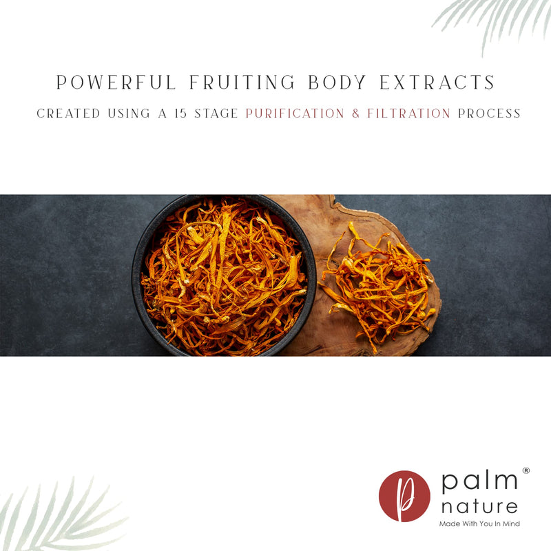 Palm Nature 7 Mushroom Complex - High Strength Extracts Not Powders - 30% Beta-Glucans - 90 Vegan Capsules - 1500mg Per Serving - Lions Mane, Chaga, Reishi, Shiitake, Maitake, Tremella, Cordyceps - NewNest Australia