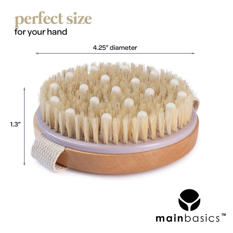 MainBasics Natural Bristle Dry Body Brush Exfoliating Body Scrubber with Massage Nodules for Dry Skin, Cellulite and Lymphatic Drainage - NewNest Australia