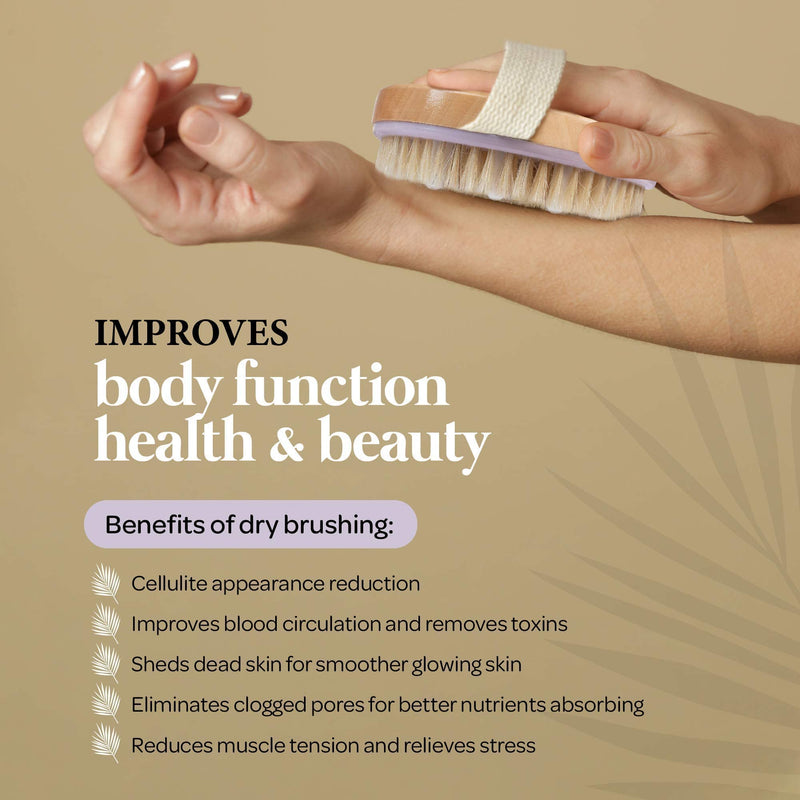 MainBasics Natural Bristle Dry Body Brush Exfoliating Body Scrubber with Massage Nodules for Dry Skin, Cellulite and Lymphatic Drainage - NewNest Australia