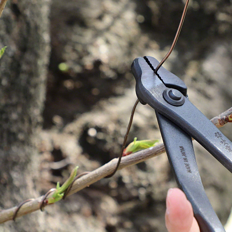 Hanafubuki Wazakura Hand Forged Bonsai Pliers Made in Japan 8.25inch(210mm), Bonsai Training Wire Plier, Japanese Garden Tool- Black - NewNest Australia