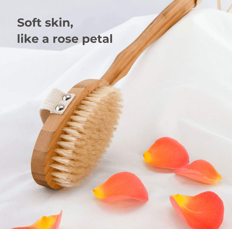 Dry Brushing Body Brush for Rejuvenating Skin – Back Scrubber for Shower – Stimulate Lymphatic Drainage and Minimize Cellulite – 100% Natural Boar Bristles with Detachable Handle – Exfoliating Brush - NewNest Australia