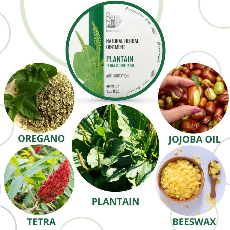 BenePura Plantain Ointment for Eczema Itch Relief Cream - Eczema Cream for Adults - Natural Anti Itch Cream for Humans - Heat Rash Cream for Adults - Itchy Skin Cream, Dermatitis Cream - 40 ml - NewNest Australia