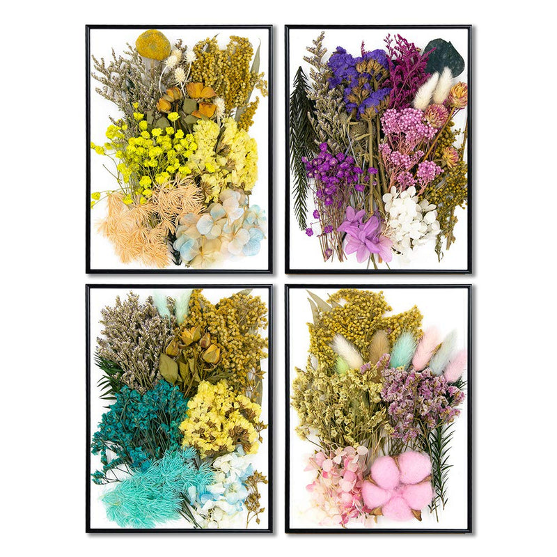 Vignee Real Dried Pressed Leaf Flowers-Multiple Colorful Pressed Flowers Daisies for Craft Resin Jewelry Making Art Craft DIY（Blue） Blue - NewNest Australia