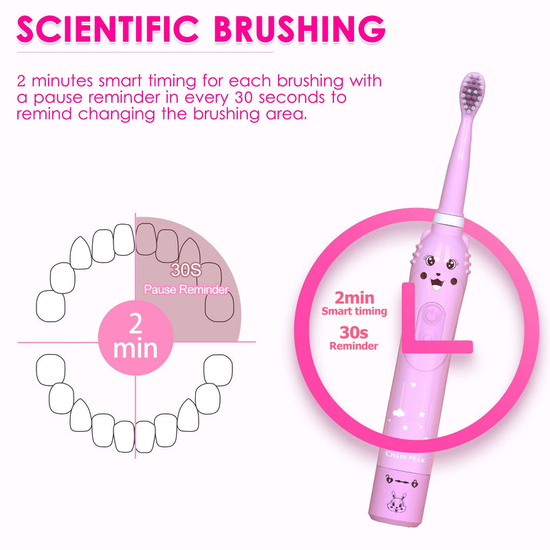Kids Sonic Electric Toothbrush, Rechargeable Smart Toothbrush for Children, Sonic Toothbrush for Boys Girls Age 3-12 with 30s Reminder, 2 Mins Timer, 6 Modes, 4 Brush Heads, Wall-Mounted Stand… 8650 Pink+4 Heads+ Stand - NewNest Australia