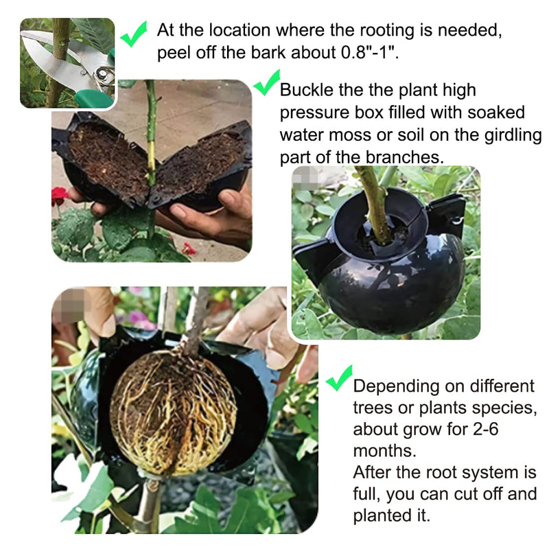 MIIIM 10 PCS Air Layering Propagation Kit with Zip Ties, Reusable Half Transparent Grafting Ball, Air Layering Pods Clear, Plant Rooting Grafting Box for Fast Propagation Plants (Medium) Medium - NewNest Australia
