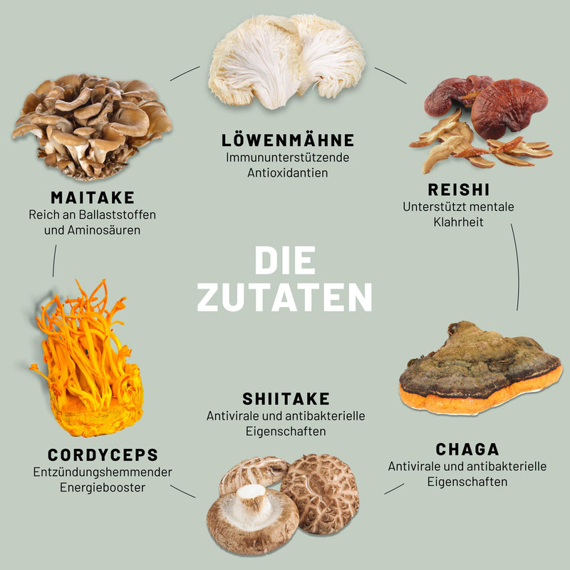 Mushroom Complex, 6 Important Medicinal Mushroom Complex As Mushroom Capsules, Lions Mane Capsules, Reishi Mushroom, Chaga Extract, Shitake, Cordyceps And Maitake. Medicinal Mushroom Capsules - NewNest Australia