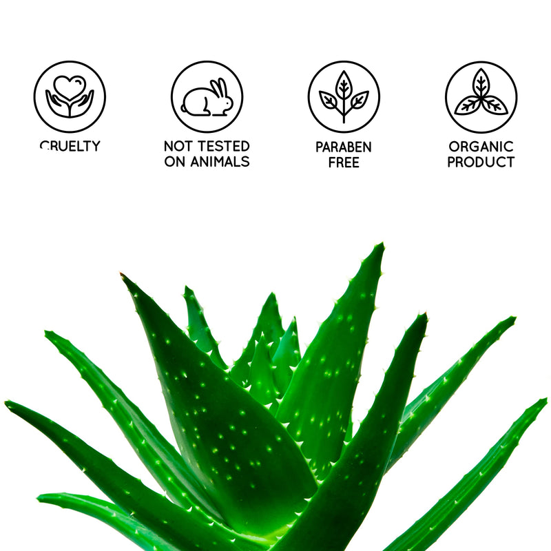 100% Natural Aloe Vera Gel | Extra moisturizing | Dermoprotector | Anti-aging & anti-wrinkle | Aftersun & aftershave care | Hair mask, clear, 500 ml - NewNest Australia