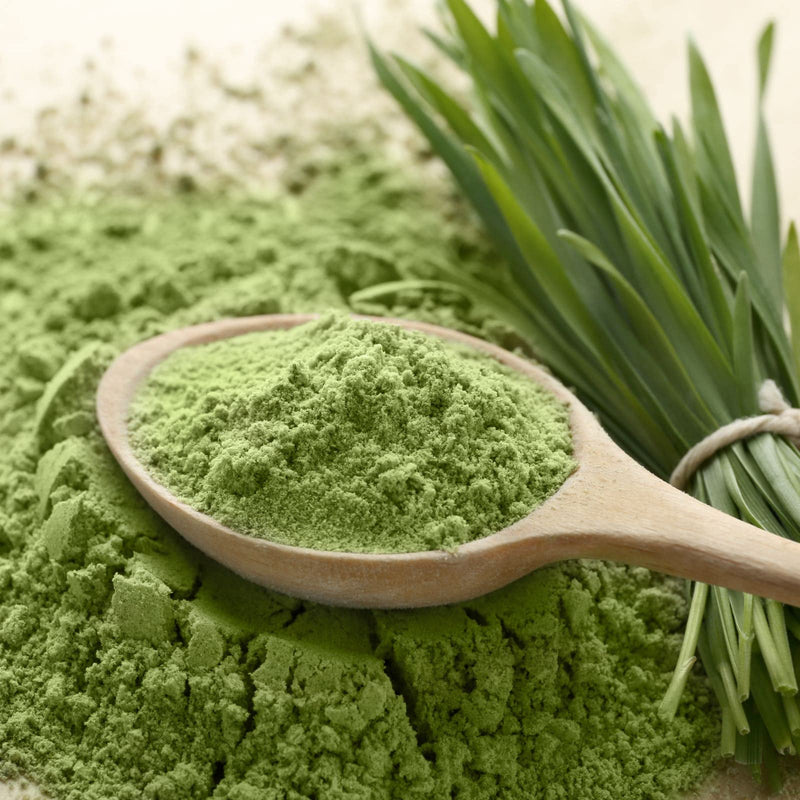 Barley grass capsules organic 180 pieces | finely ground barley grass in capsule format | from controlled organic cultivation | without additives | vegan capsule shell | from the Achterhof 180 pieces (pack of 1) - NewNest Australia