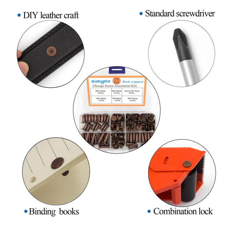 75 Sets Chicago Screws Assorted Kit Red Copper Leather Rivets Screw Rivets Slotted Phillip Head Book Binding Posts Nail Rivet Chicago Bolts for DIY Leather Craft Bookbinding (5x6,10,12,15,18) Red copper 5x6,10,12,15,18 - NewNest Australia
