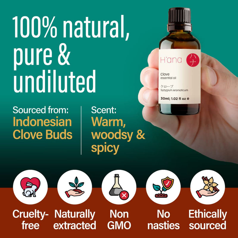 H’ana Clove Oil for Tooth Aches & Pain Relief - 100% Pure and Natural Clove Essential Oil - Therapeutic Grade Clove Oil Essential Oil - Clove Oil for Hair Growth, Skin, Teeth & Gums (30ml) - NewNest Australia