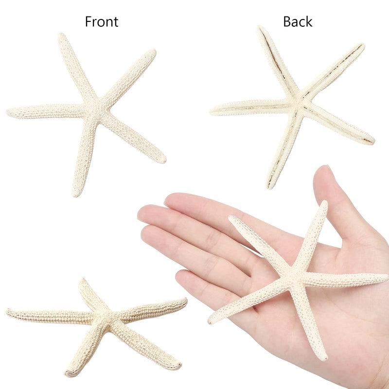 Maicodes 12 PCS Starfish | 2.5-6 Inch Starfish Decor | Natural Bulk Starfish Shells Perfect for Crafts Making Beach Theme Party Wedding Decoration, Home Wall Decor, Christmas Ornaments, Fish Tank - NewNest Australia