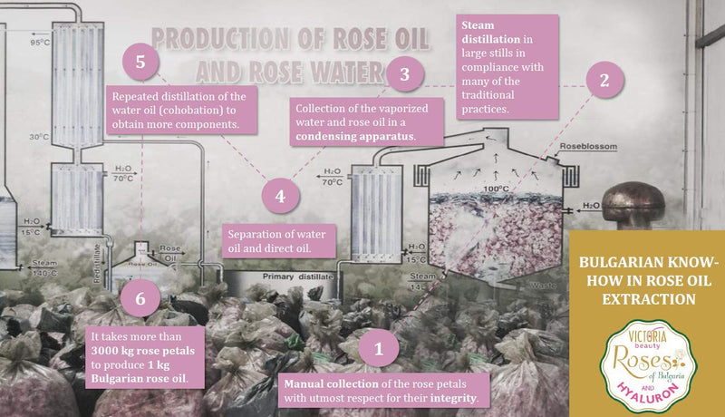 Victoria Beauty Rosa Damascena Pure Bulgarian Rose Water 3 in 1 – Face Toner, Makeup Remover, Fine Moisturiser 250 ml - NewNest Australia