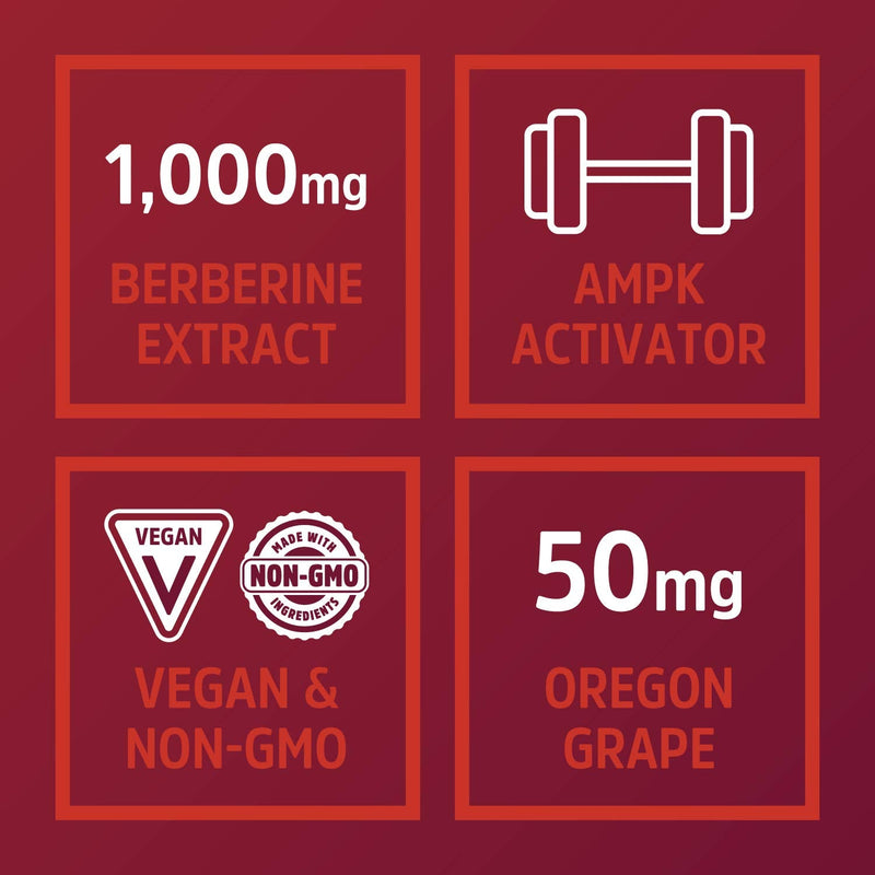 Zhou Nutrition Berberine with Oregon Grape for Healthy Fat Metabolism & Ketone Synthesis, 60Count - NewNest Australia
