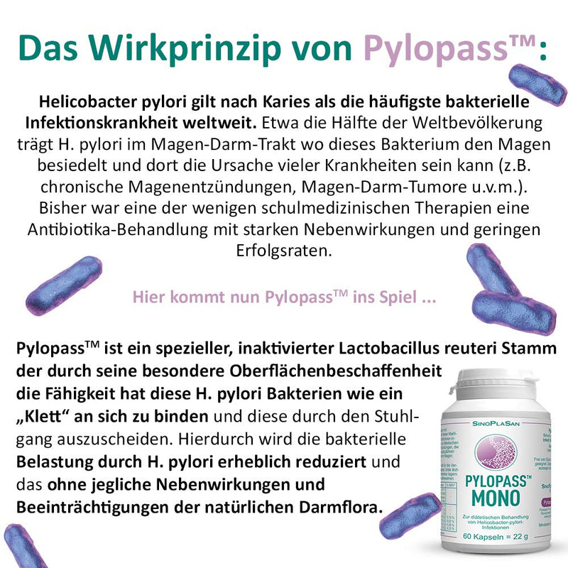 Pylopass MONO 200mg, 60 capsules, for diet management for Helicobacter Pylori infections, high dosage, vegan, lactose-free, gluten-free, quality monitored - NewNest Australia