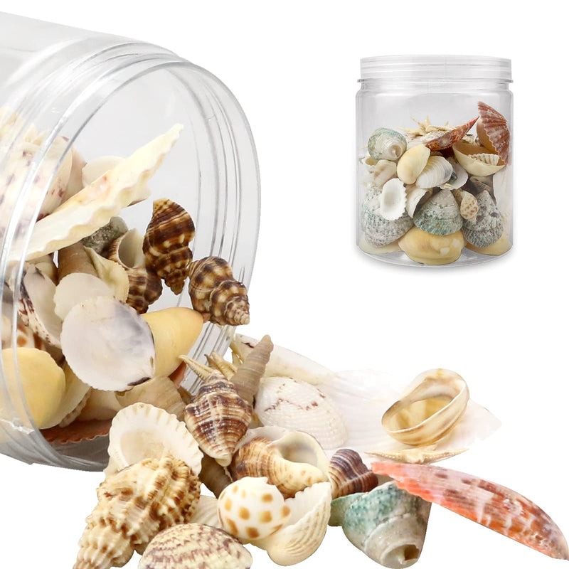 WEOXPR Mixed Sea Shells, 100+ Pcs Beach Seashells Starfish, Various Sizes Ocean Seashells for Fish Tank Vase Fillers, Beach Theme Party Wedding Decor, Candle Making, DIY Crafts, Home Decorations - NewNest Australia