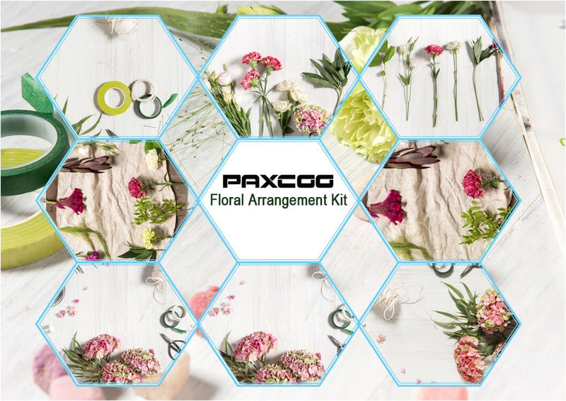 Paxcoo Floral Stem Arrangement Tools Kit with Wire Cutter Green Floral Tapes 26 Gauge Stem Wire and 22 Gauge Paddle Wire for Bouquet Stem Wrap Florist - NewNest Australia