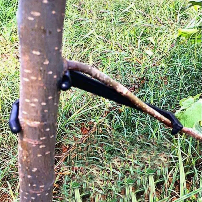 Cunguv Tree Spreaders Fruit Tree Limb Spreader 30Pieces Apple Tree Branch Spreaders to Nudge Limbs for Most Fruit Trees,Blue and Black Black 15pieces+Blue 15pieces - NewNest Australia