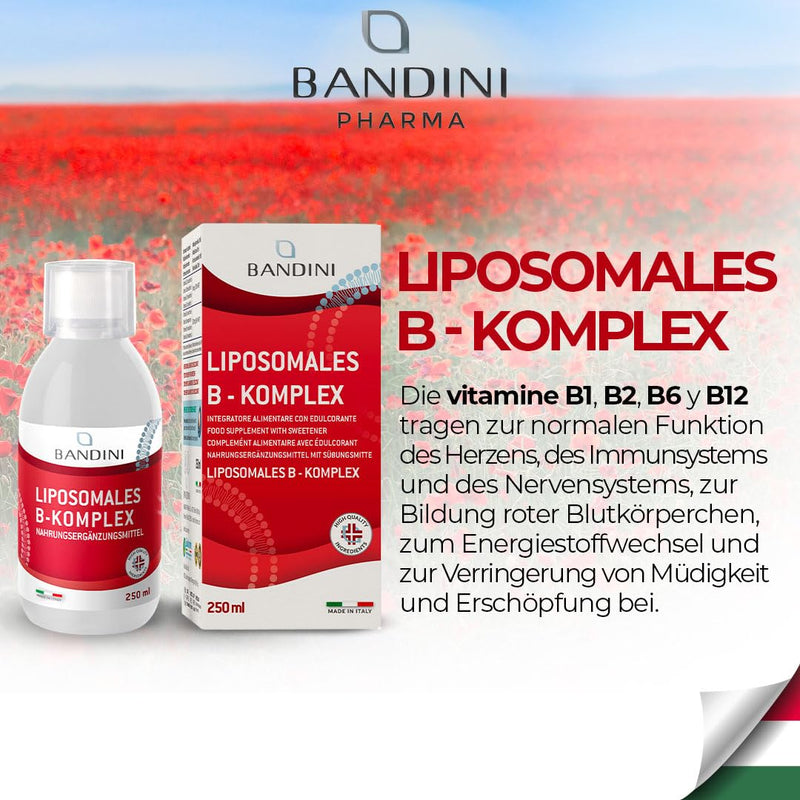 Bandini® Vitamin B Complex Liposomal - 250 ml liquid format | High dosage: All 8 B vitamins (B1, B2, B3, B5, B6, B7, B9, B12) | Independently laboratory tested, no additives, GMO-free, vegan - NewNest Australia