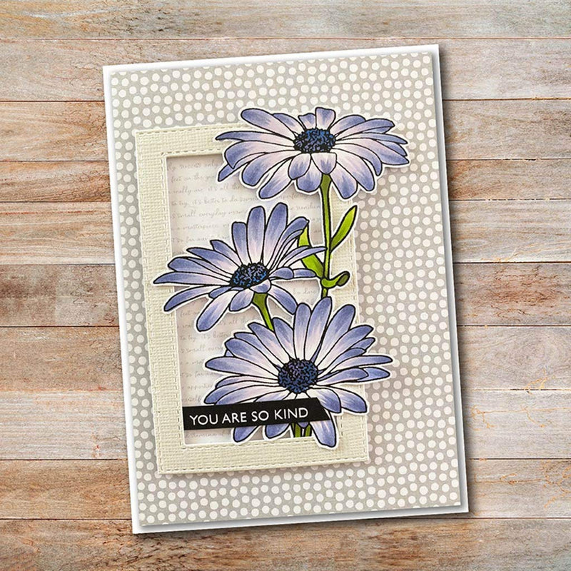 Cute Chamomile Silicone Clear Stamp and Die Sets for Card Making, DIY Embossing Photo Album Decorative Craft - NewNest Australia