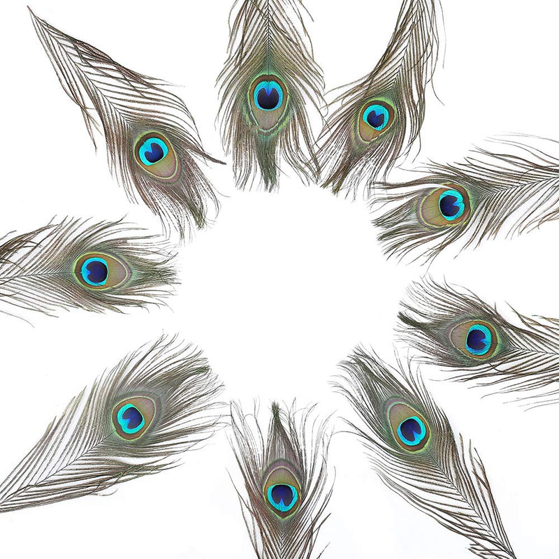 12 PCS Real Natural Peacock Eye Feathers 10-12 inch for DIY Craft, Wedding and Holiday Decorations 12 - NewNest Australia