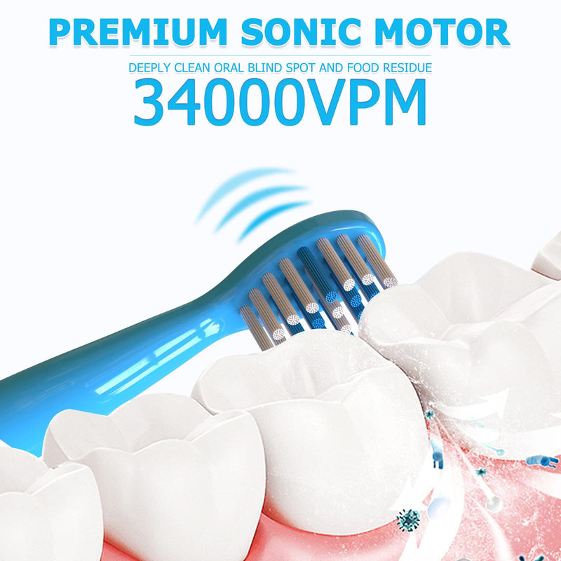Kids Sonic Electric Toothbrush, Rechargeable Smart Toothbrush for Children, Sonic Toothbrush for Boys Girls Age 3-12 with 30s Reminder, 2 Mins Timer, 6 Modes, 4 Brush Heads, Wall-Mounted Stand… 8650 Blue+4 Heads+ Stand - NewNest Australia