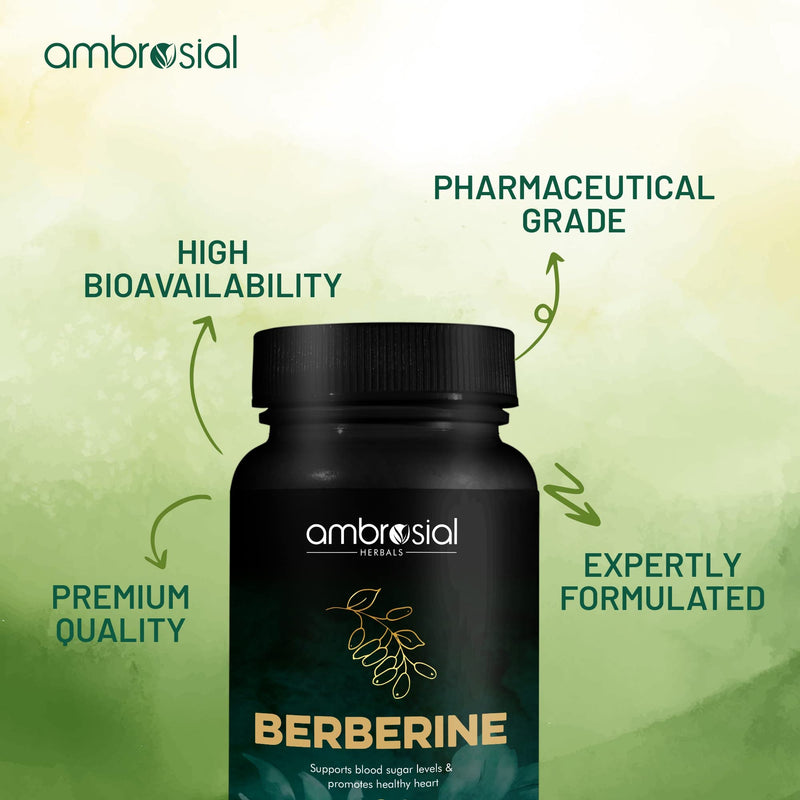 Ambrosial Berberine Hcl 500 Mg Per Capsule | High Strength Berberine Supplement For Healthy Heart Functions | Supports Healthy Blood Sugar Levels (Pack Of 1-60 Capsules) 60 Pieces (Pack Of 1) - NewNest Australia