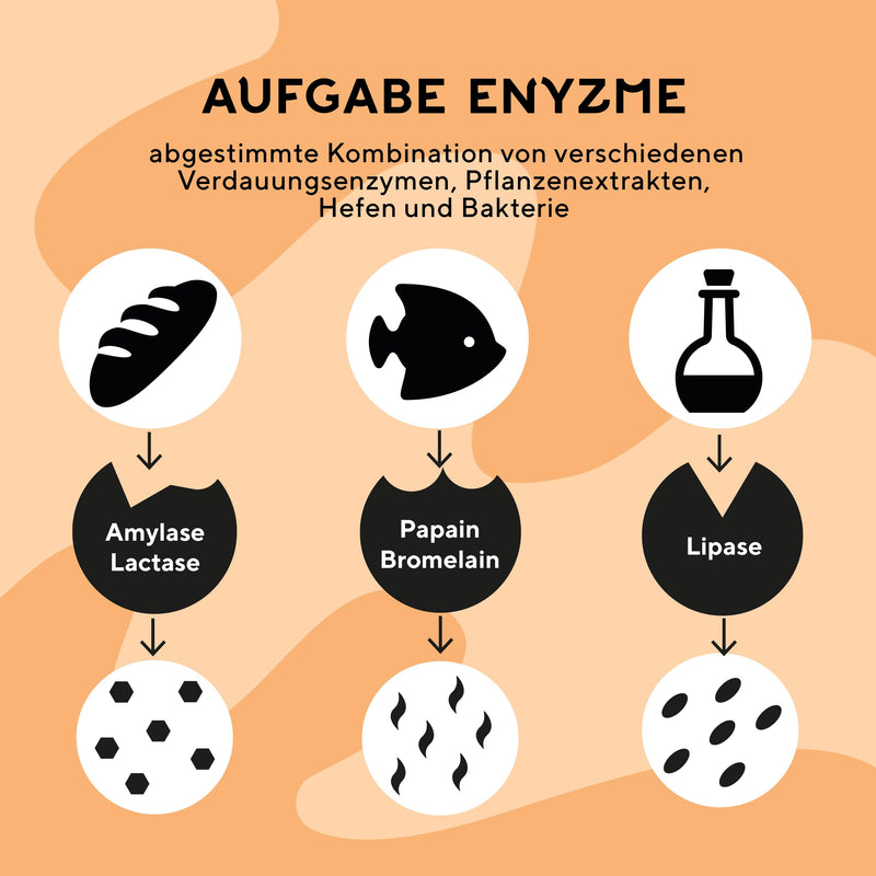 fairment EffectiveEnzyme - NEW - Premium digestive enzyme complex with bromelain, Sango sea coral, lactase, papain | Enzymes Made in Germany | Vegan | 90 capsules per jar (1x jar) 1x 90 capsules - NewNest Australia