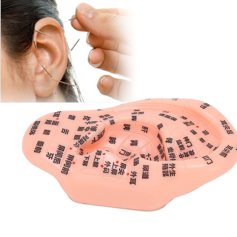 1PC Ear Zone Model, Ear Acupoint Pressure Point Learning Human Acupuncture Model for Home Office Decoration - 13cm(Chinese Words) - NewNest Australia