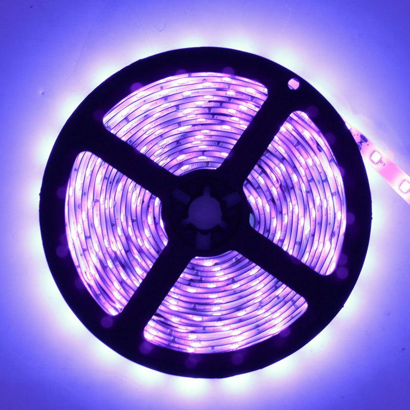 Super Bright 24 Watts UV Black Light LED Strip, 16.4FT/5M 3528 300LEDs 395nm-405nm Waterproof IP65 Blacklight Night Fishing implicitly Party with 12V 2A Power Supply 24w 196.8 Inch (Pack of 1) - NewNest Australia