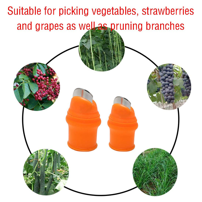 Zehhe 2 Pack Professional Garden Silicone Thumb Knife, Harvesting Plant Knife,Finger Knife Picking for Trim Garden Vegetable Gardening Tools and Also be Your Good Help in Kitchen (2T) 2T - NewNest Australia