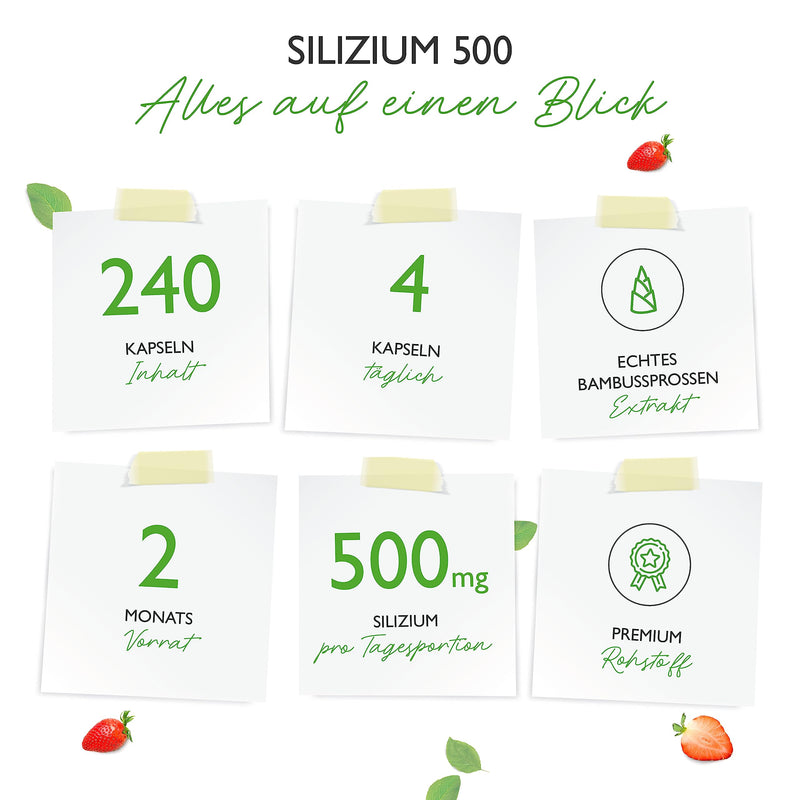 Silicon - 240 capsules with 500 mg organic silicon per day - Premium: Naturally derived from bamboo extract - High dosage - Vegan - Laboratory tested - NewNest Australia