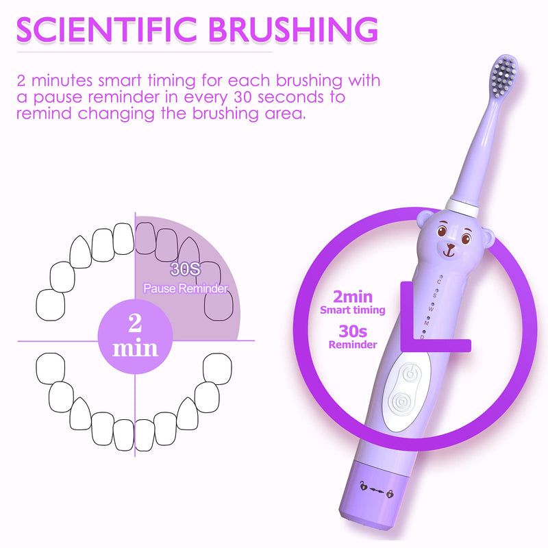 CHAIN PEAK Kids Sonic Electric Toothbrush, Cute Bear Rechargeable Toothbrush for Children, Boys Girls Age 3-12 with 30s Reminder, 2 Min Timer, 5 Modes, 8 Brush Heads, Bear Toothbrush Purple+8 Heads - NewNest Australia