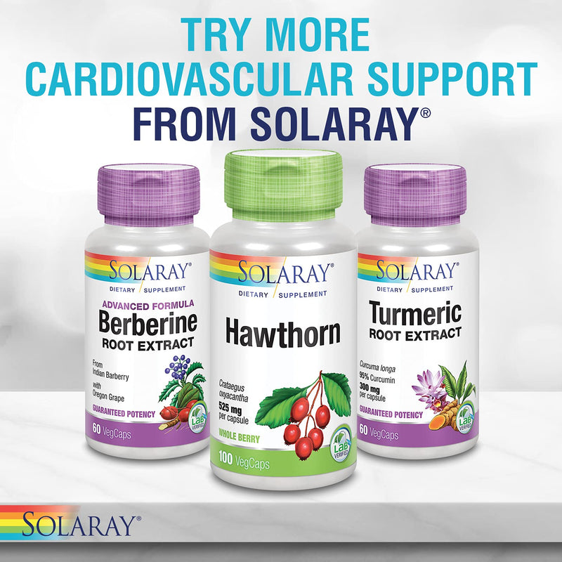 Solaray Fermented Beet Root Supplement | Athletic Performance, Circulation & Heart Health Support, 100 Serv, 100 VegCaps 100 Count (Pack of 1) White - NewNest Australia