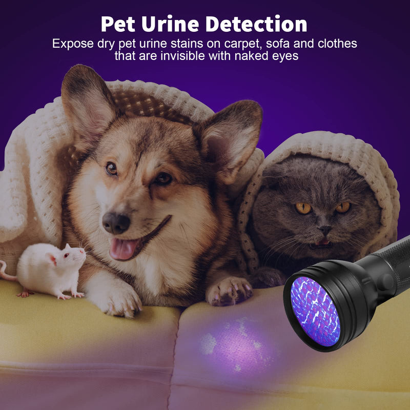 Escolite UV Flashlight Black Light, 51 LED 395 nM Ultraviolet Blacklight Detector for Dog Urine, Pet Stains and Bed Bug 1 Count (Pack of 1) - NewNest Australia