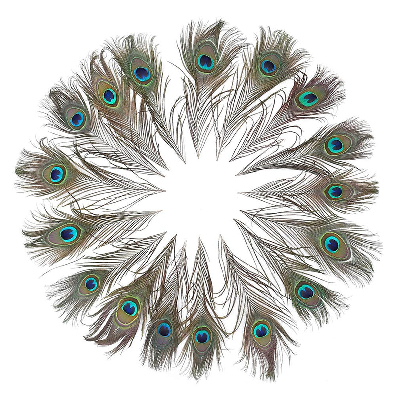 12 PCS Real Natural Peacock Eye Feathers 10-12 inch for DIY Craft, Wedding and Holiday Decorations 12 - NewNest Australia