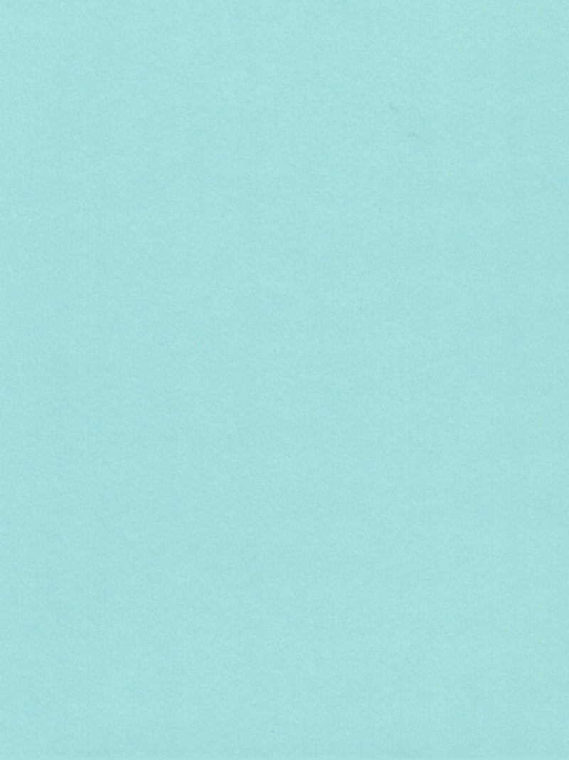 Berrylicious Blue Cardstock Paper - 8.5 X 11 Inch 100 Lb. Heavyweight Cover -25 Sheets from Cardstock Warehouse Berrylicious - NewNest Australia
