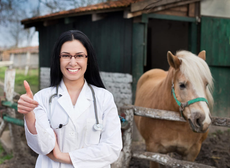 Equine Synergy High Potency Spirulina 500g For Horses and Ponies -100% Pure with Over 2000 Vitamins, Minerals and Nutrients to Enhance Health and Bolster the Immune System - NewNest Australia