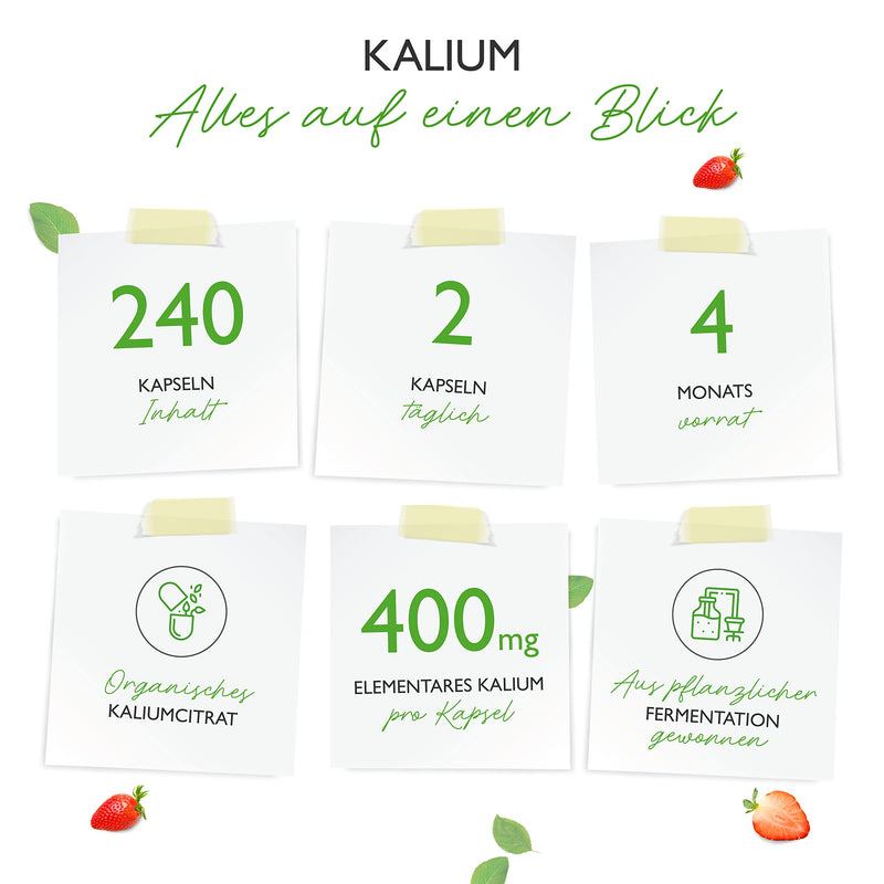 Potassium - 240 capsules - High dosage: 1143 mg per capsule, of which 400 mg is elemental potassium - 100% potassium citrate - Laboratory tested - Vegan - NewNest Australia