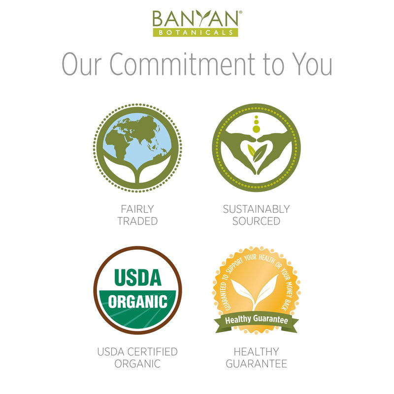 Banyan Botanicals Kaishore Guggulu - Certified Organic, 90 Tablets - Pitta Balancing Formula for The Joints and Muscles - NewNest Australia
