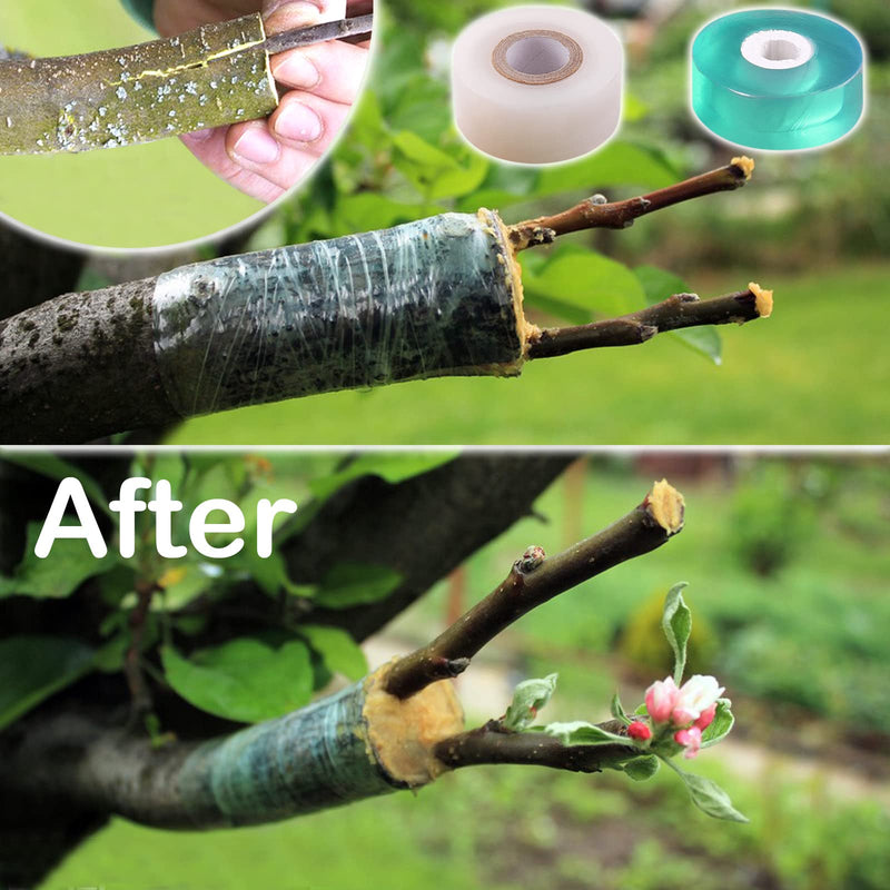 MIDOUWEST Garden Grafting Tape for Fruit Trees,Plant Repair Budding Tape - NewNest Australia
