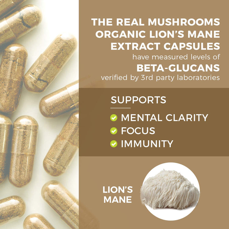 Lions Mane Brain and Focus Supplements - Mushroom Powder Extract Capsules - Non GMO and Gluten Free Supplement for Better Cognitive Health 120 Count (Pack of 1) - NewNest Australia