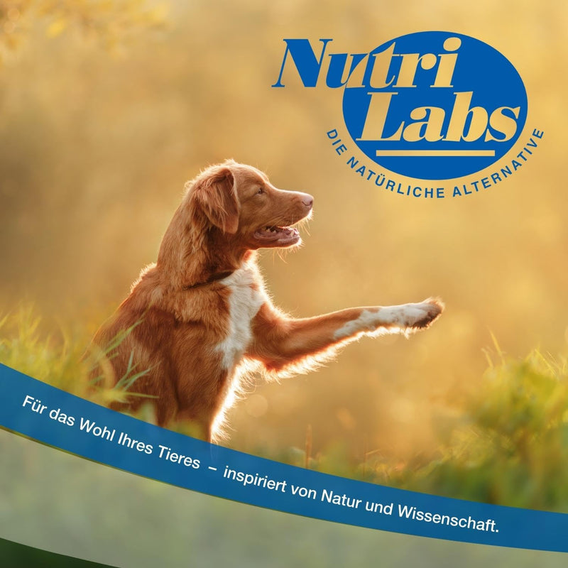 NutriLabs Acid Protect® chewable tablets for dogs 100 pieces - stomach herbal tablets with montmorillonite, psyllium, marshmallow, zinc, etc. - health products for dogs - nutritional supplement dog single - NewNest Australia