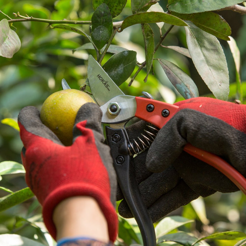 HOKAS S841 Heavy Duty Pruning Shears with Comfortable Leather Coating Handle, Sharp and Durable Tree Trimmers Secateurs - Ideal Branch,Hedge,Shrub/Bush,Flower/Plant Bypass Garden Clipper - NewNest Australia