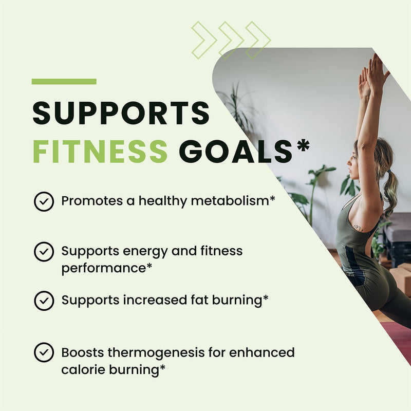 Nobi Nutrition Green Tea Weight Loss Pills to Reduce Belly Fat | Appetite Suppressant & Fat Burner (60 Count) 60 Count (Pack of 1) - NewNest Australia