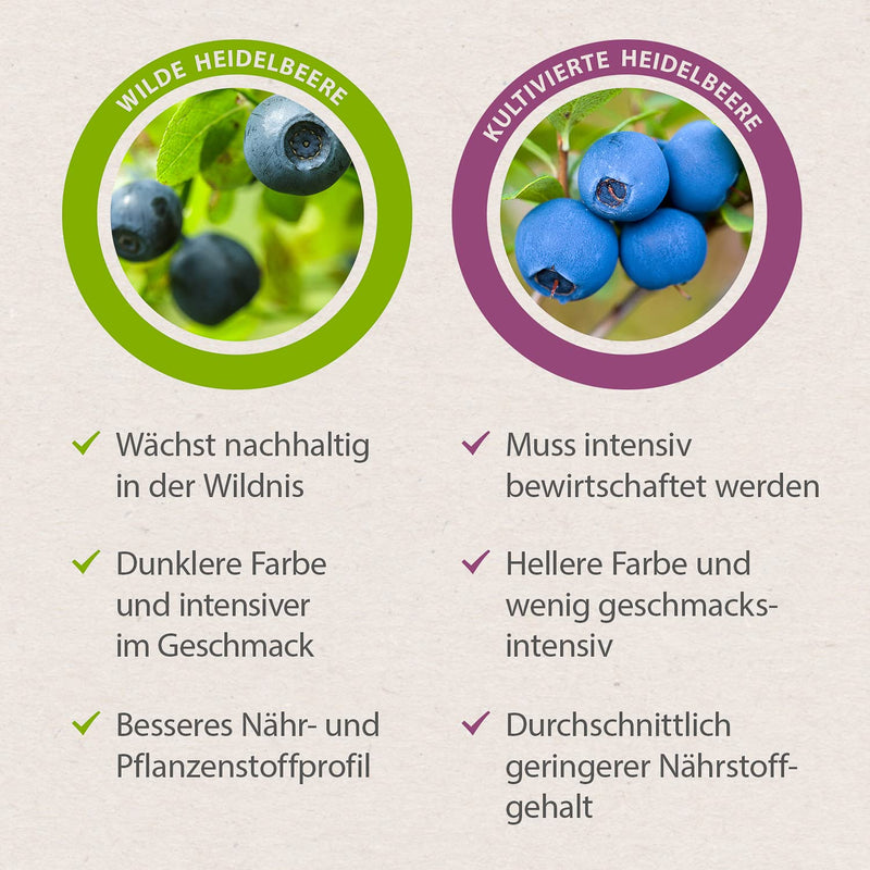 Wild blueberries organic powder - 200 g - fruit powder in raw food quality - rich in antioxidants - blueberries powder (Vaccinium myrtillus) - NewNest Australia